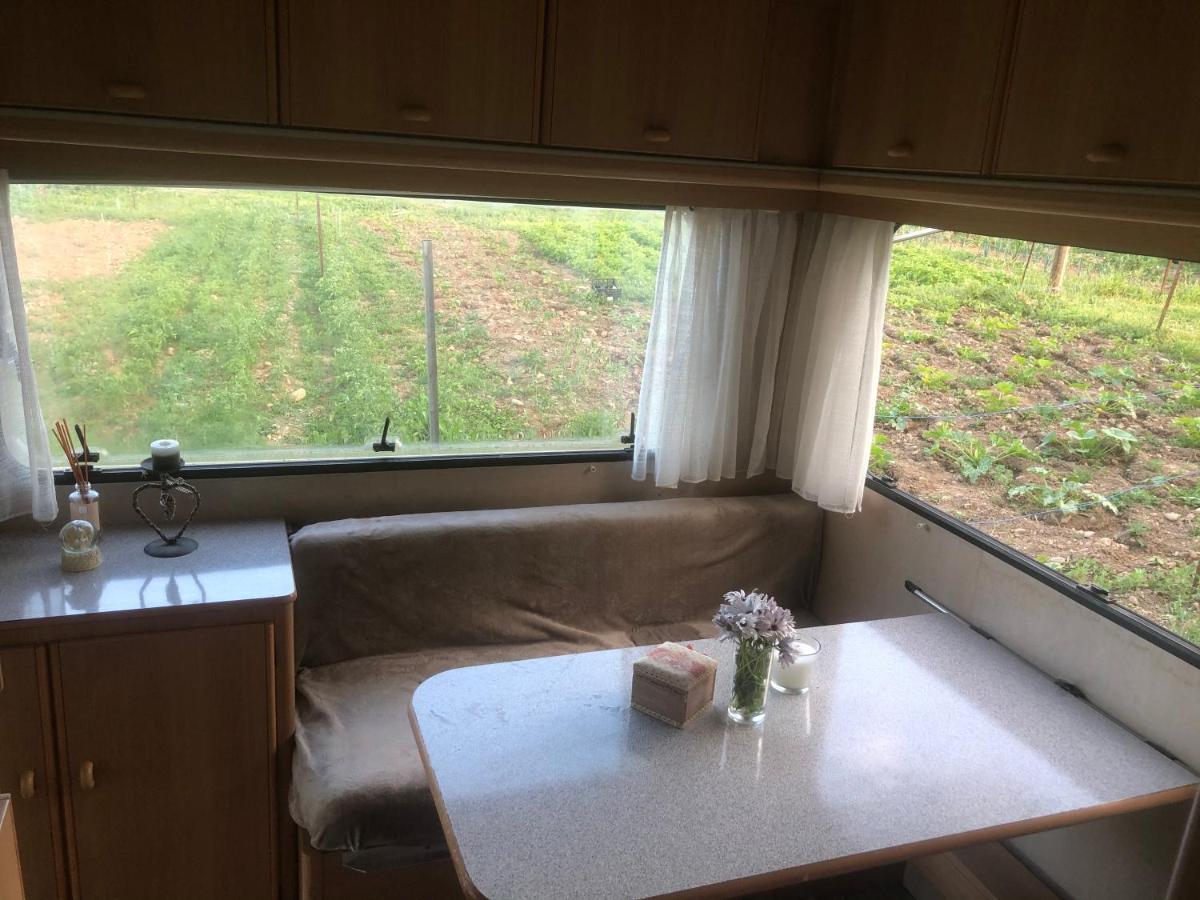 La Ferme De Rotani Hotel Aleria  Ngoại thất bức ảnh