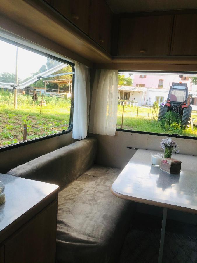 La Ferme De Rotani Hotel Aleria  Ngoại thất bức ảnh