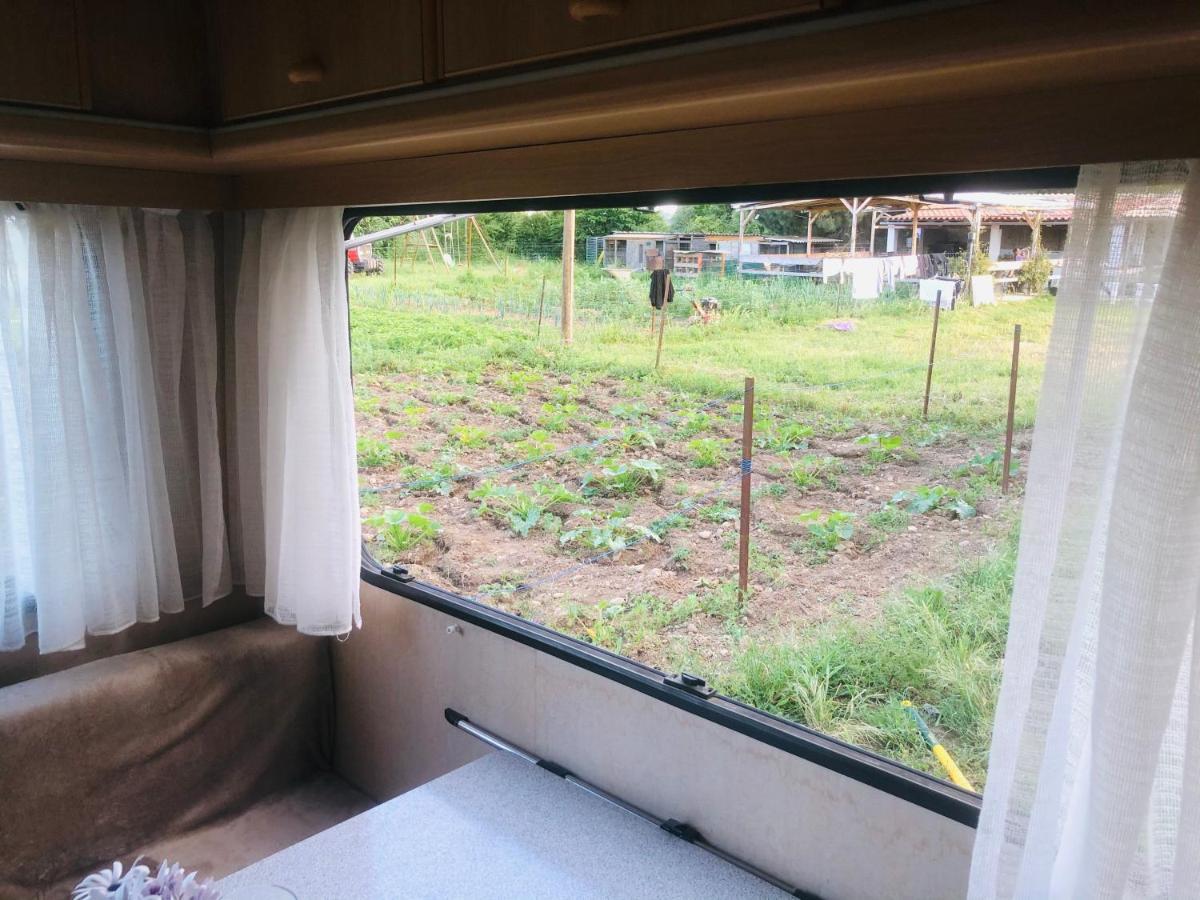 La Ferme De Rotani Hotel Aleria  Ngoại thất bức ảnh